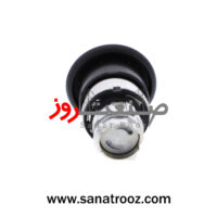کلگی بدون لامپ اشنایدر ZB4BC2