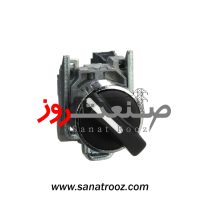 سلکتور سوئيچ دو حالته ماندگار اشنایدر الکتریک