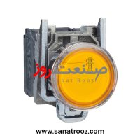 پوش باتن بدون لامپ فلزی نارنجی اشنایدر الکتریک