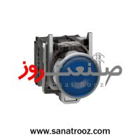 پوش باتن LED داخلی 24 ولت فلزی آبی اشنایدر الکتریک