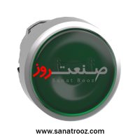 کلگی پوش باتن فلزی سبز اشنایدر الکتریک
